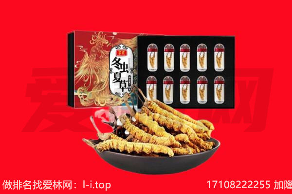 南阳市回收虫草.jpg